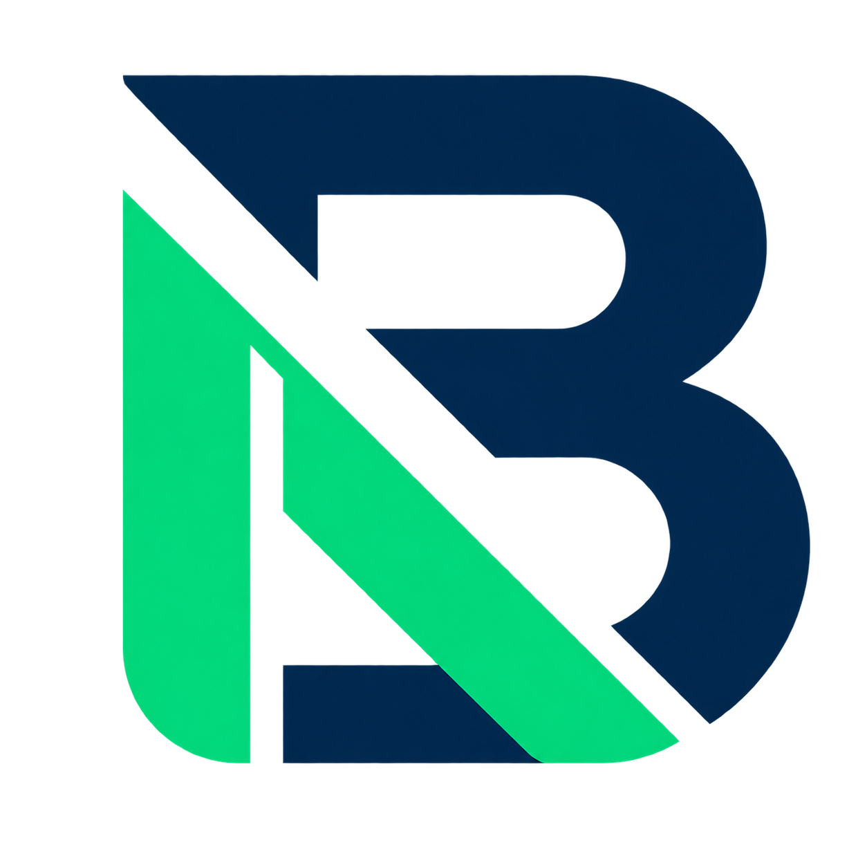 Logo BizzNeer